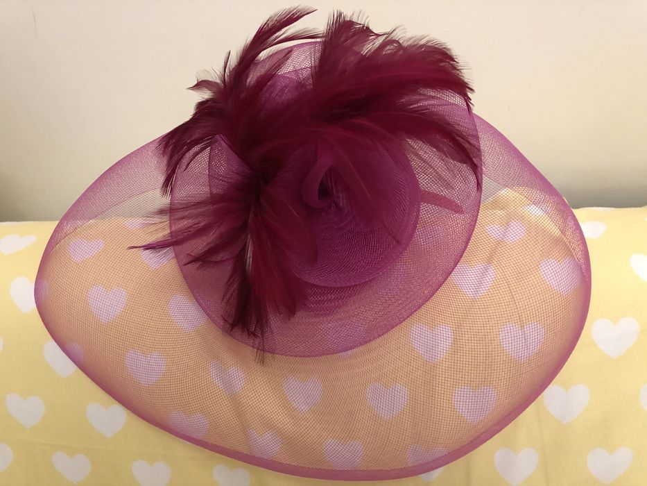 Palarioara din tul cu pene