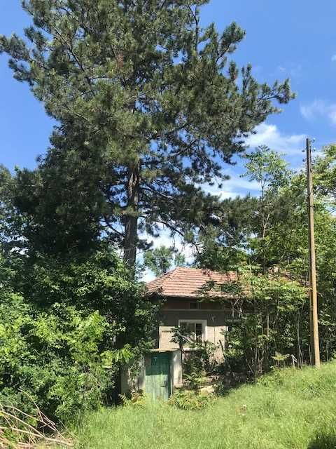 Агенция за недвижими имоти "HOMES CAPITAL" Продава