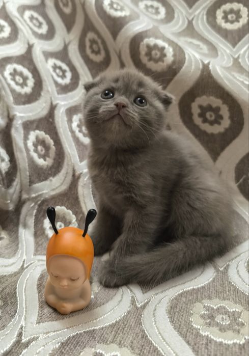 Милые и забавные малыши