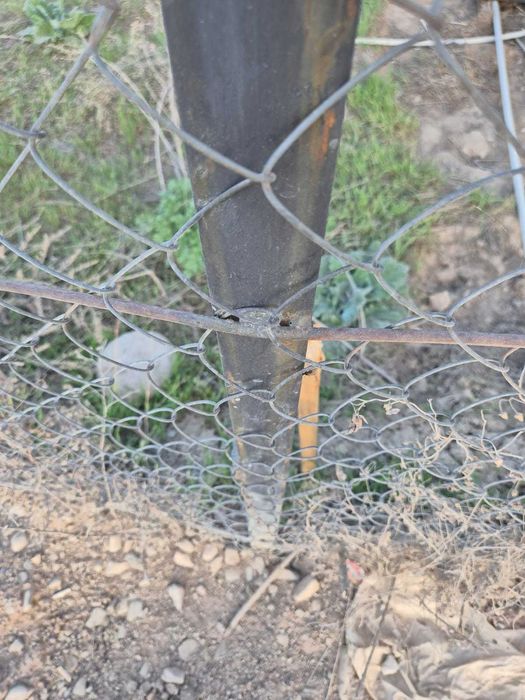 Забор сетка рабитца б/у