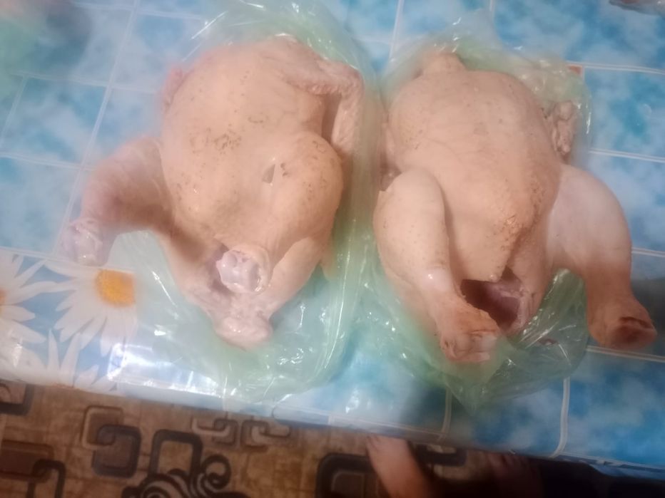 Продам броллера.