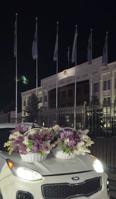 Сирень на корзину