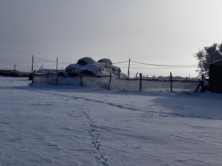 Шаруа қожалығы сатылады