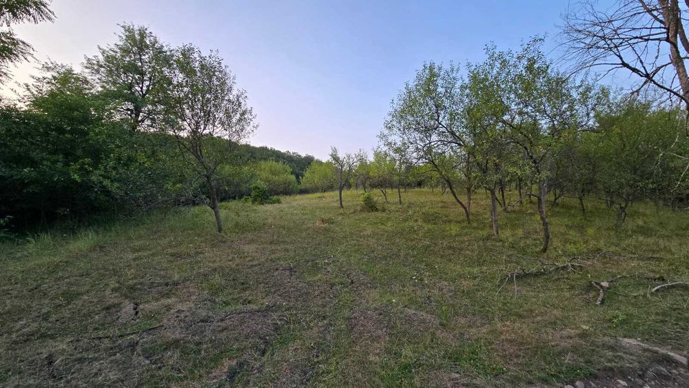 Vand teren in loc. Ulies, com. Gurasada, jud. Hunedoara