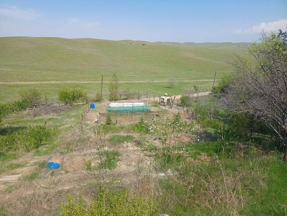 Дача 21 соткa Турарские