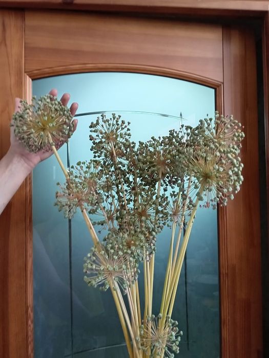 Декоративный лук