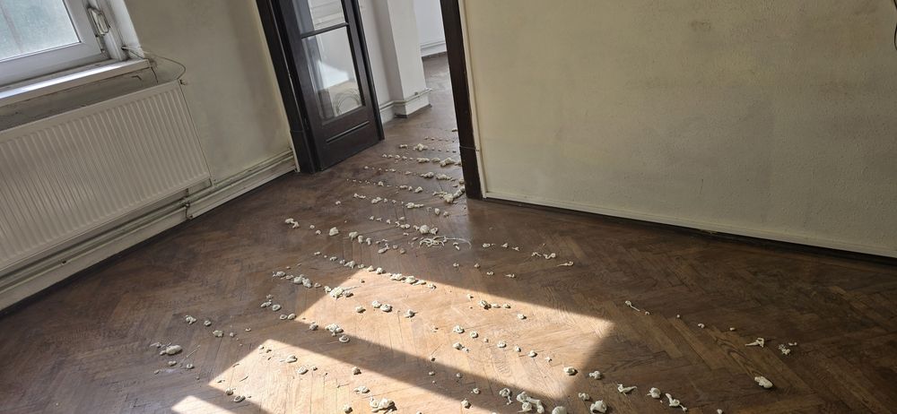 Raschetez si reconditionez parchet cu aparatura moderna.Calitate, promptitudine si eficienta garantata!