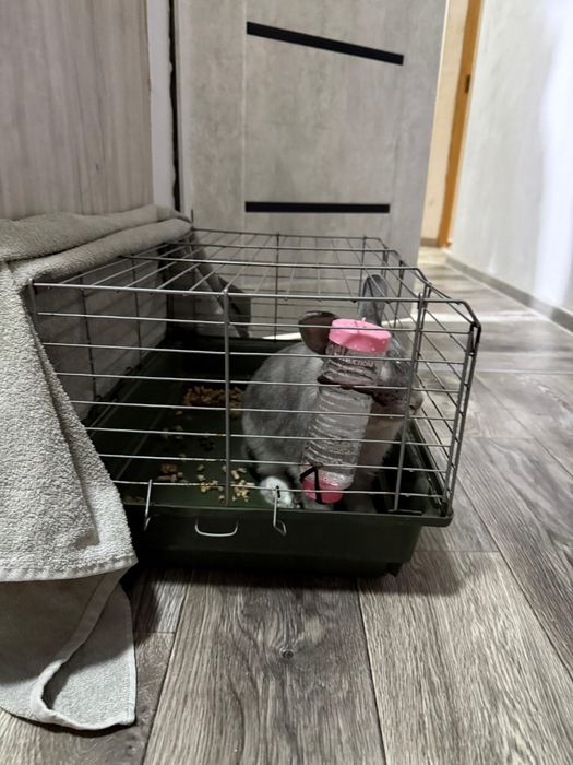 Клетка для грызунов