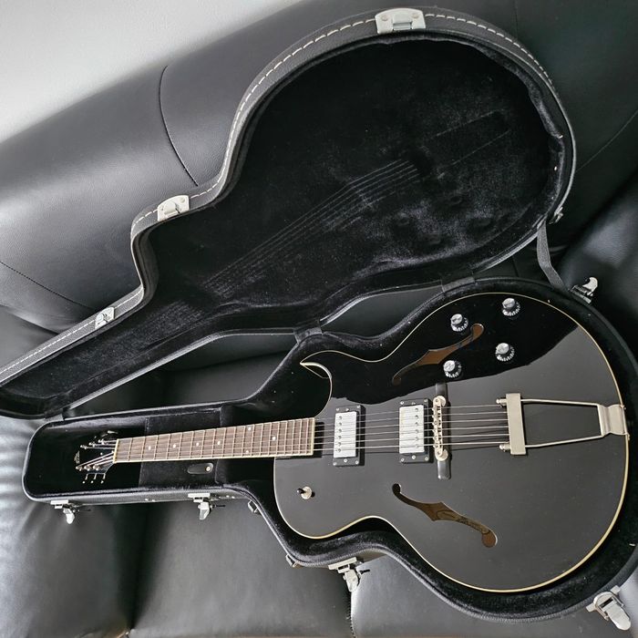 Chitara Loar LH-280 plus hard case