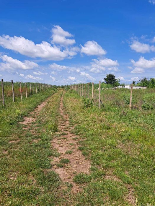 Teren linga intravilan