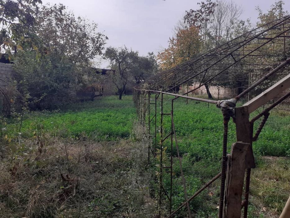 Yer sotiladi 7 yoki 8 sotok (Shurchi shahhri, Paxtakor berk ko’chasi)