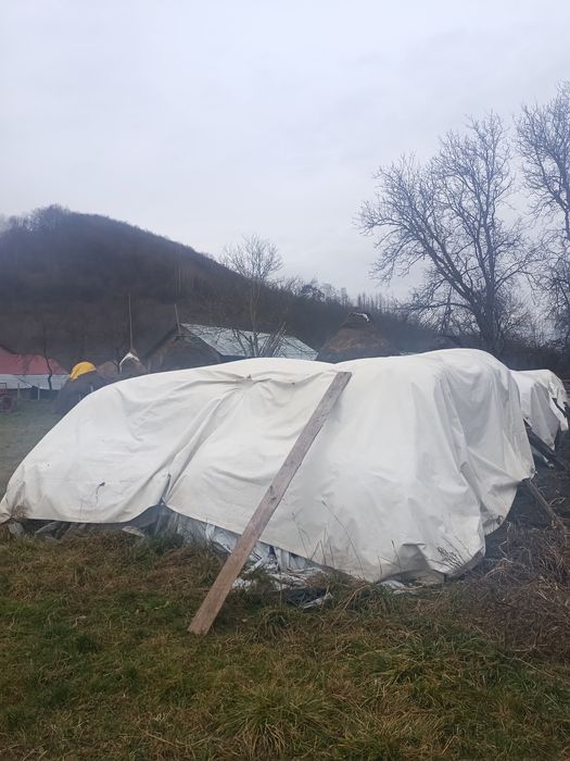 Baloți de lucernă de 120