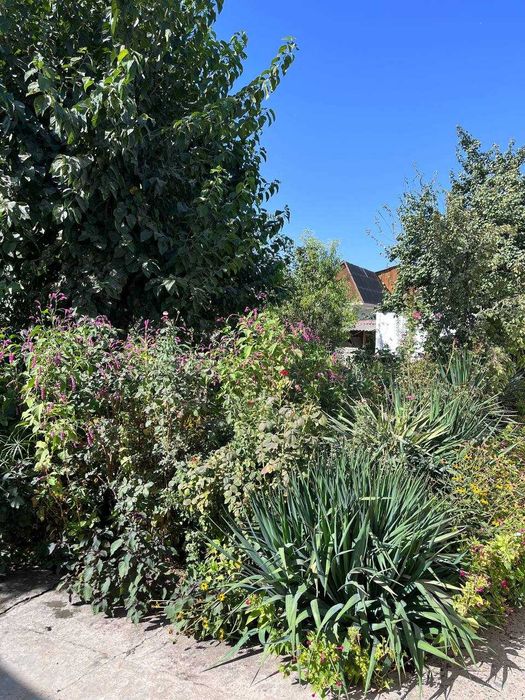 Продается дом в хорошем состоянии 8 комнат в г. Сырдарья