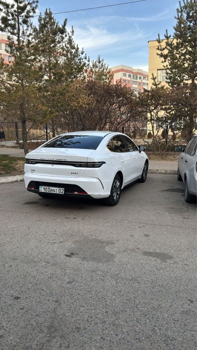 Аренда гибрид машины BYD 2025