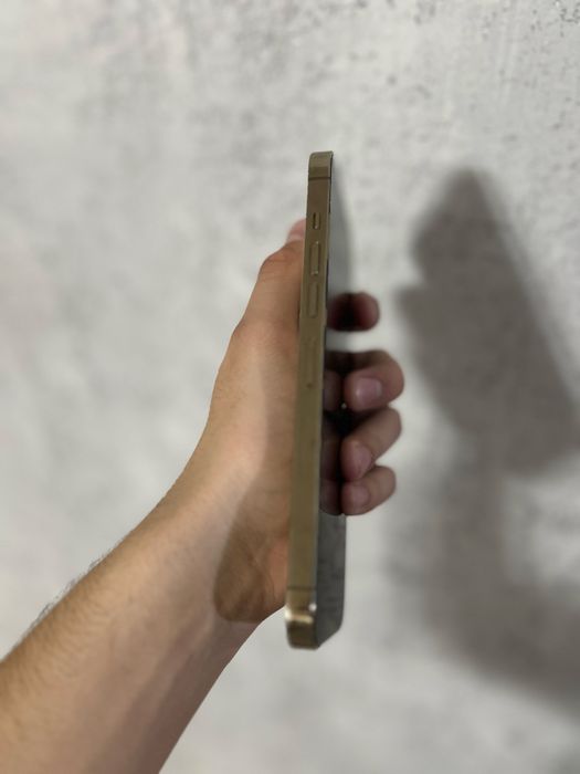 Iphone 13 Pro Max 512GB 100%