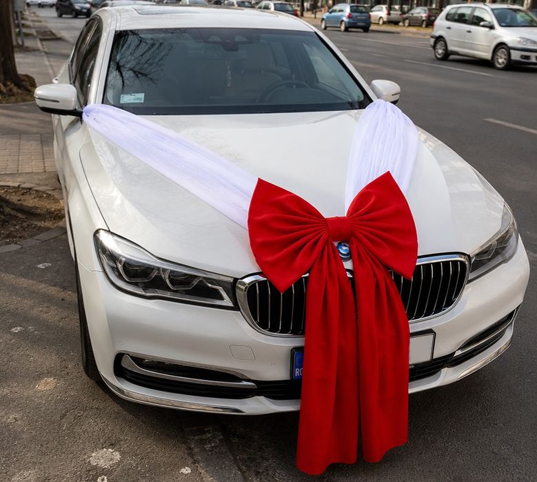 Decor aranjament  pentru masina cu tull amplu si funda uriasa