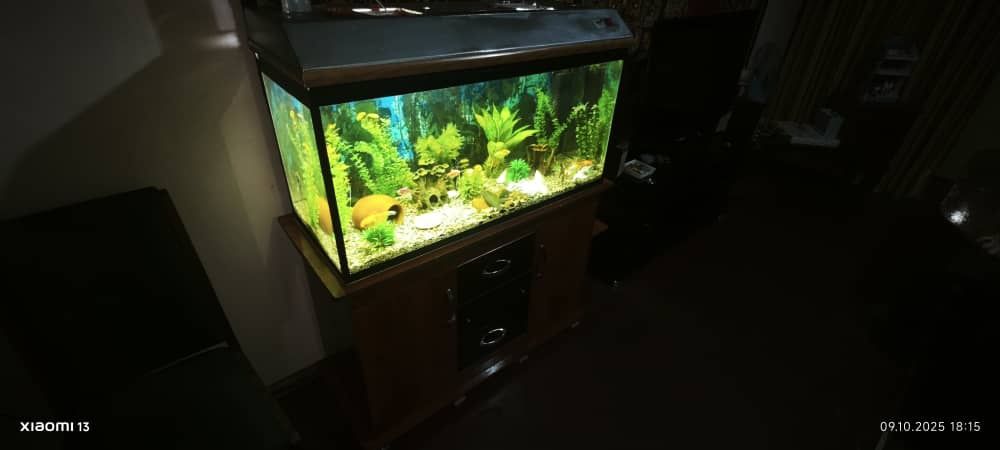 Аквариум комплект 200 литров