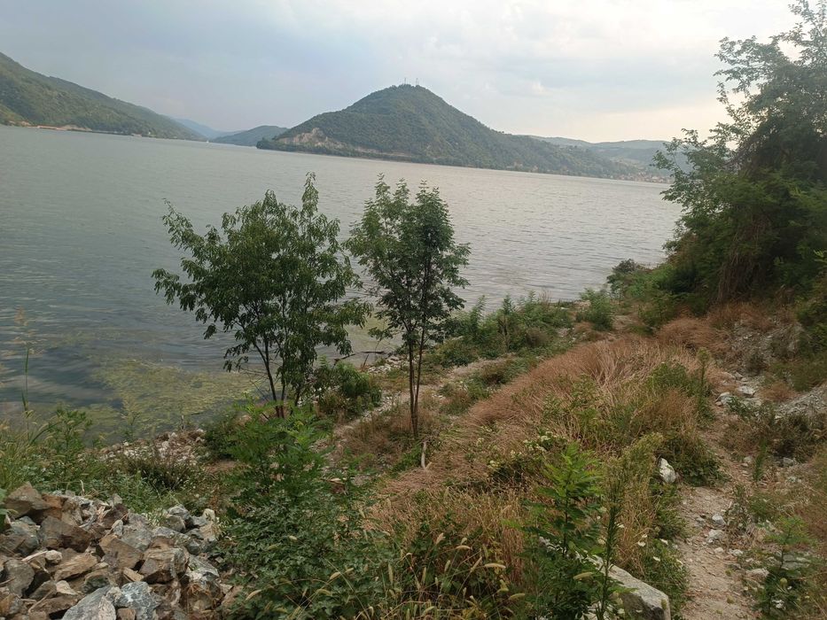 Loc de pescuit la Dunăre, Svinița