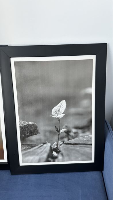 Картины для интерьера