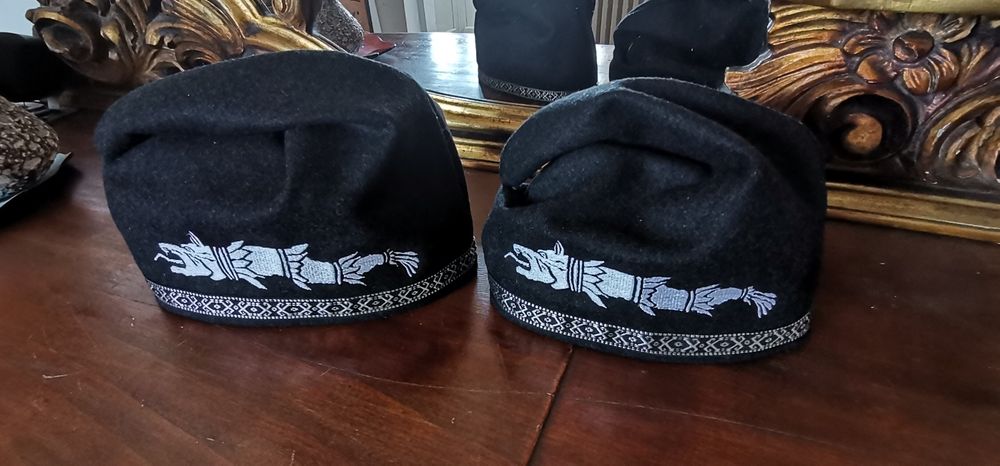 Pileus ,căciula dacului.