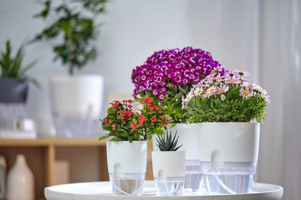 Саксия с резервоар за вода и дренаж