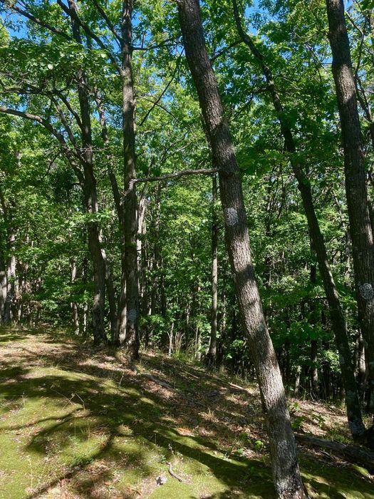 Domeniu forestier 50 ha | Priveliști spectaculoase | La 1 oră de București | Investiție unică