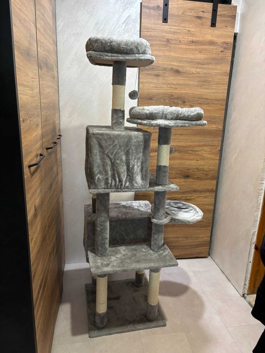 Голяма котешка катерушка 160см