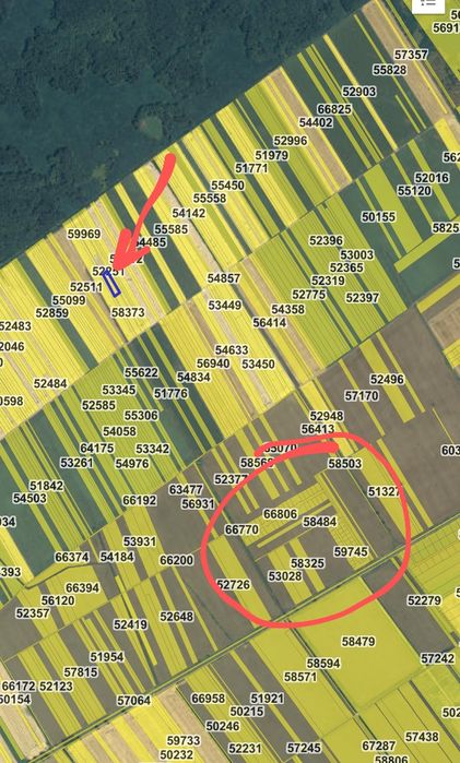 Teren intravilan 2000 mp Buftea langa padure puz cartier case vecin