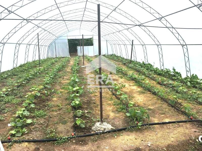 Продава се Парцел в Девня - 1876 кв.м за 20 €/кв.м - Снимка #5