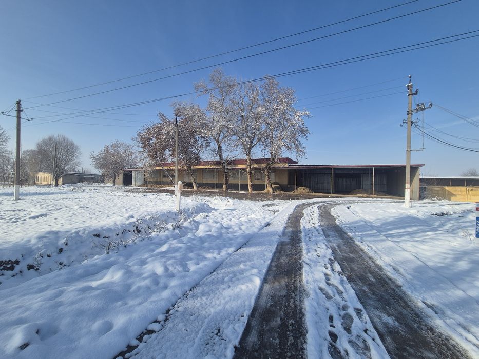 Кафе,ошхона,столовый,на трассе