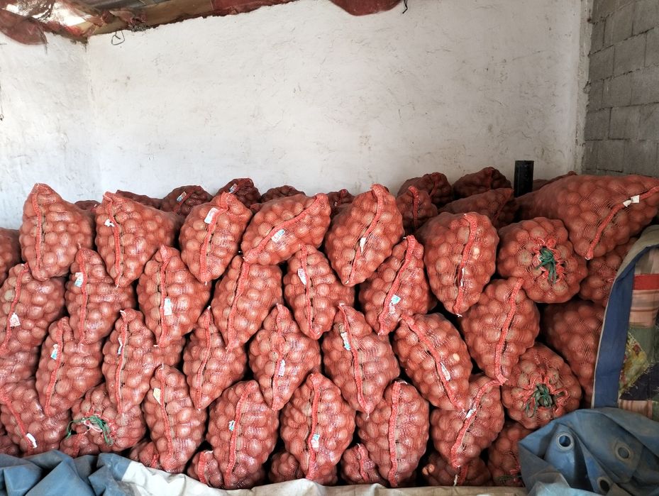 Продам семенной картофель