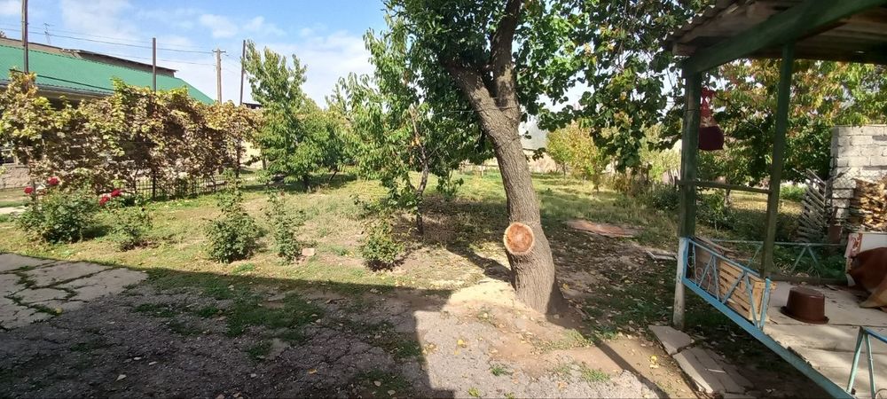 Bo'stonliq tuman chorvoq peramida yusufxona uy sotiladi