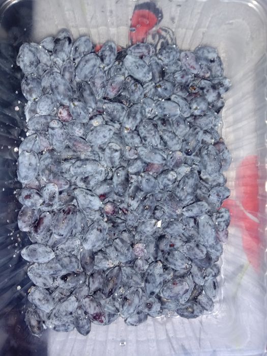 Жимолость свежезамороженная