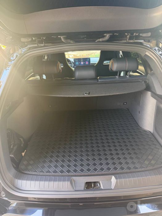 BYD chempion 2024