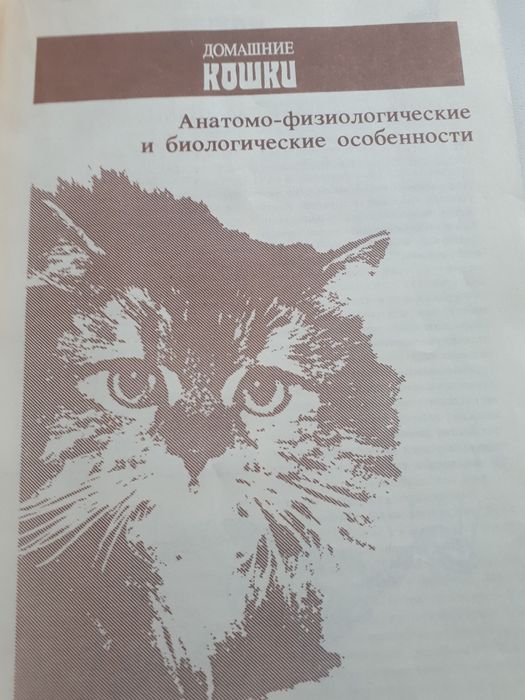 Продам книгу всё о кошках