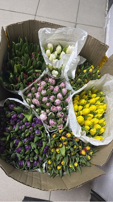 Тюльпаны по 390