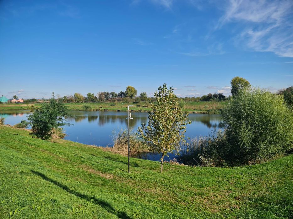 Lac de vânzare – Vetiș, județul Satu Mare