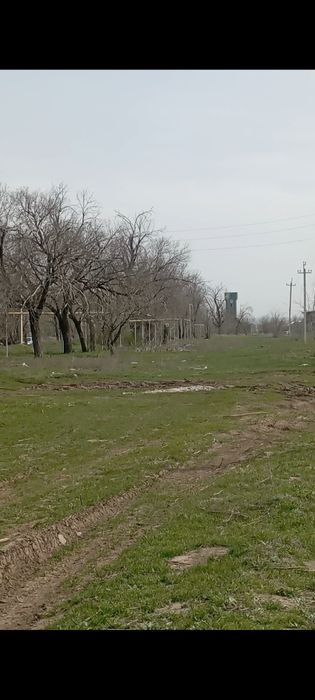 Жер, участок подкомерция