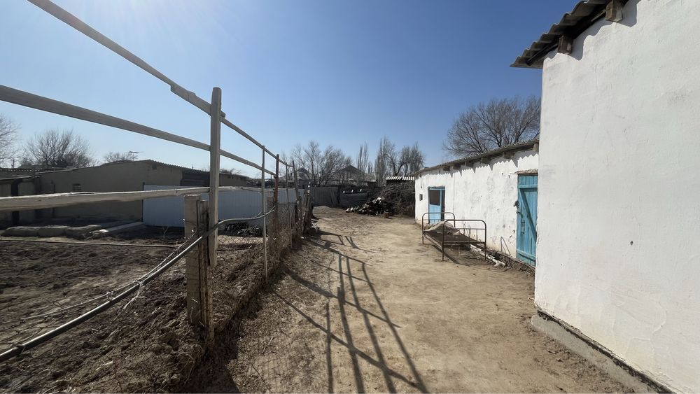 Иманжүсіп30/1 Шанхай