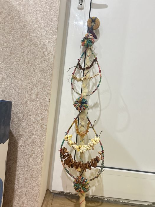 Сурвачки от дрян