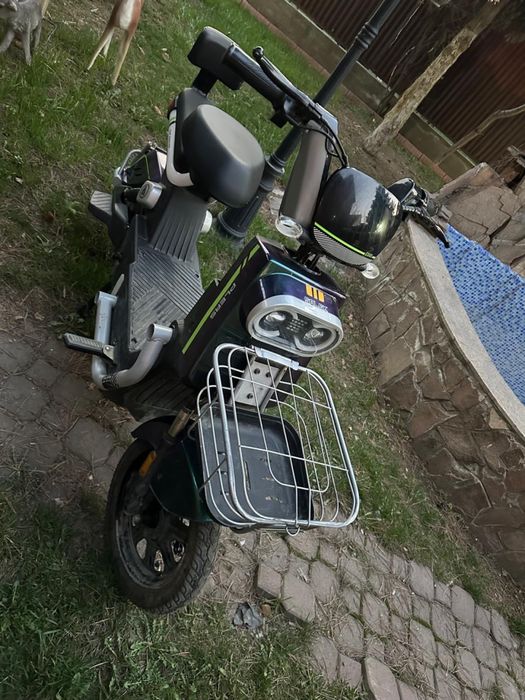 Танк про макс 500 w год 2025