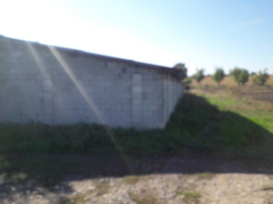 Продава се Парцел в с. Давидово, Област Търговище - 1080 кв.м за 19 €/кв.м - Снимка #3