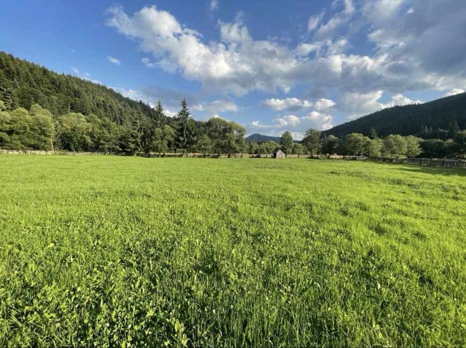 Pamant i travilan Brodina