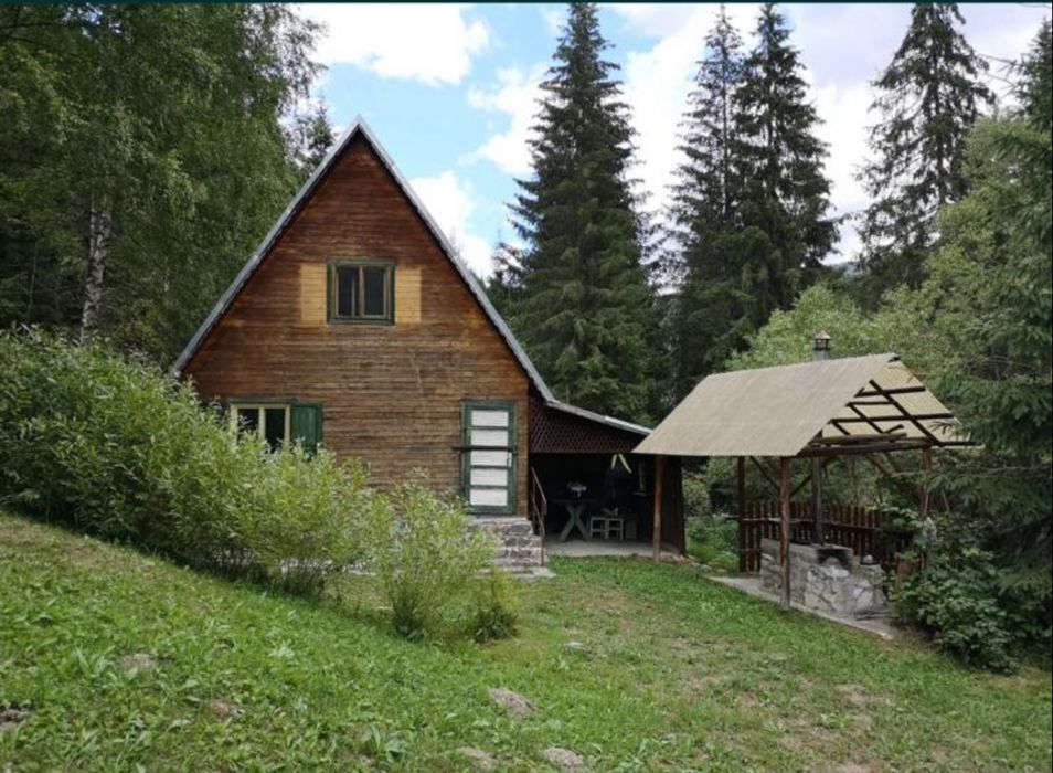 Teren cu cabana off-grid jud Harghita