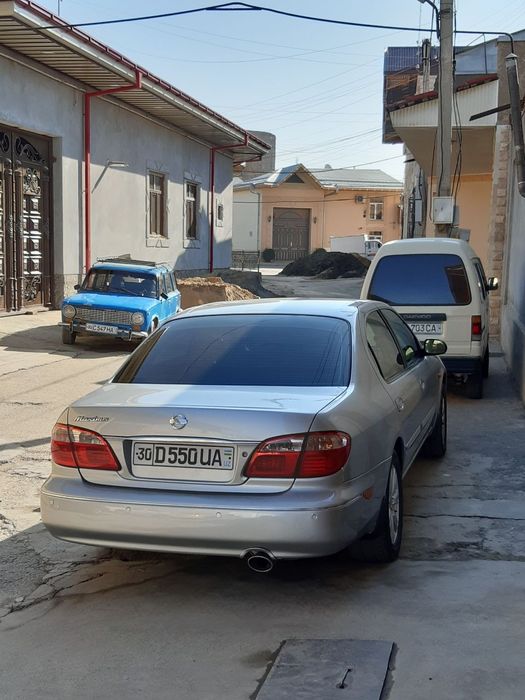 Nissan maksima ideal sastiyanasi