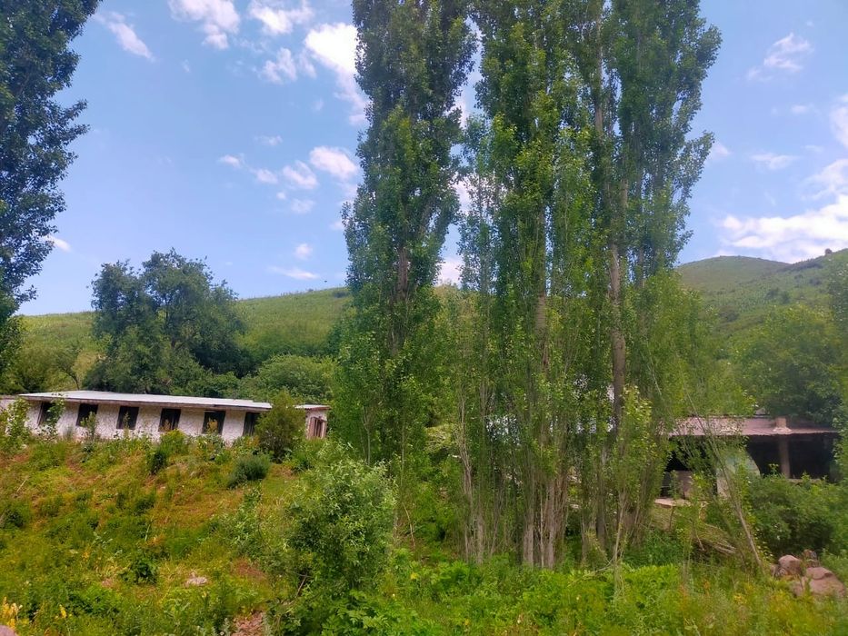 Аренда дачи для всего
