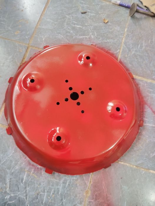 Ruminski selka zabchast