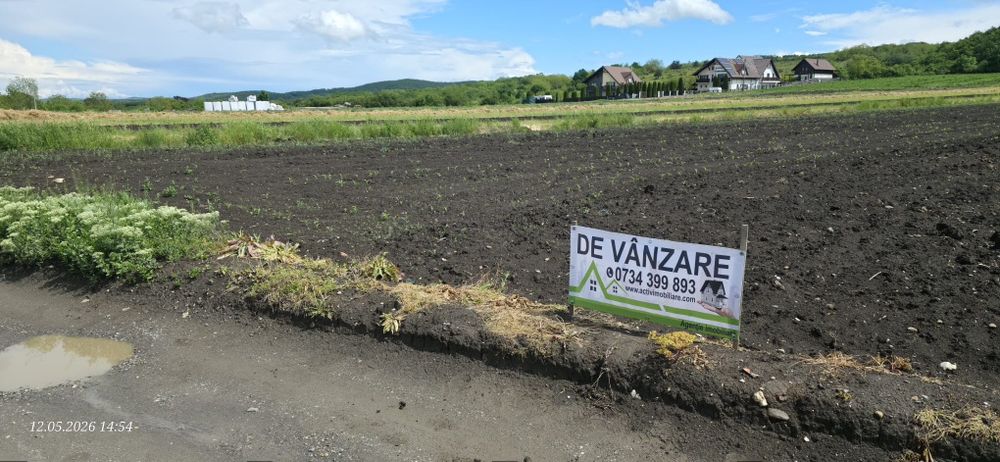 De vanzare teren Moldovenesti