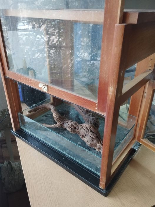 Террариум для рептилий