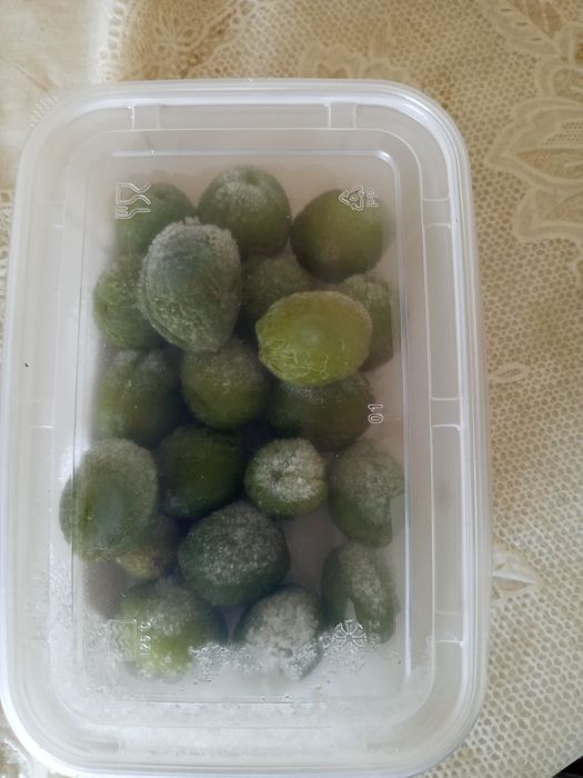 Dovcha va kok sulton va qulupney va guloz bor